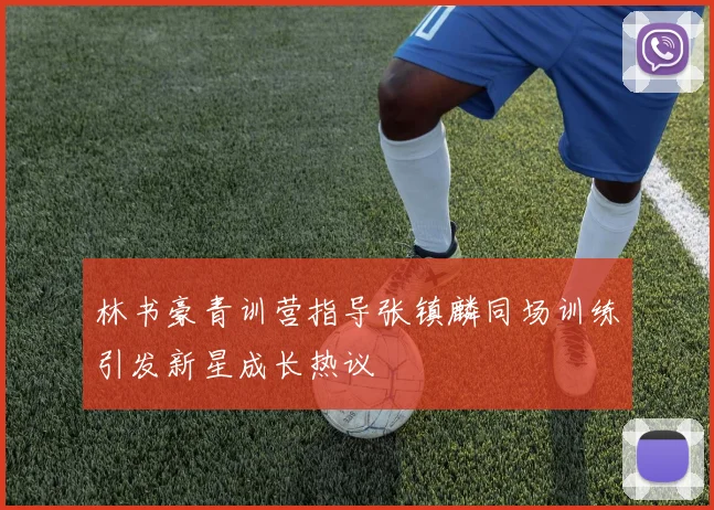 林书豪青训营指导张镇麟同场训练引发新星成长热议